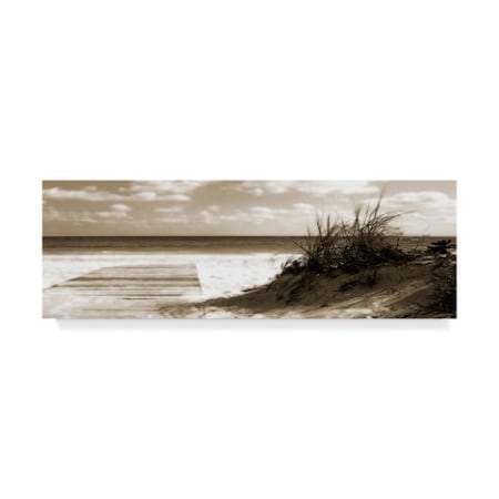 Noah Bay 'Boardwalk Shadows' Canvas Art,8x24